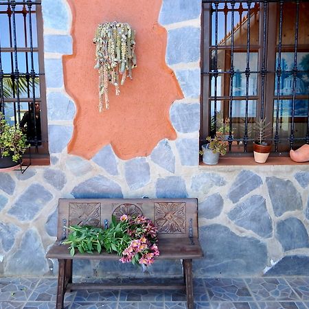 Finquita La Villa Icod De Los Vinos Exteriör bild